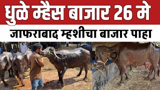 धुळे म्हैस बाजार 🛑 26 मे मंगळवार | जाफराबाद म्हशीचा बाजार | Baffalo market 