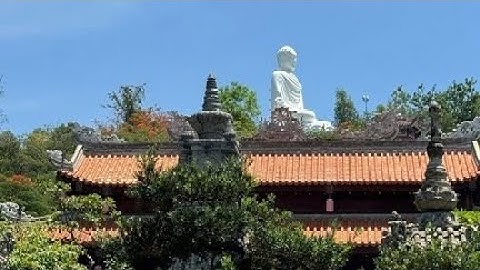 Rằm tháng 7 mùa vulan báo hiếu mình đi  chùa cầu bình an và sức khoẻ cho gia đình