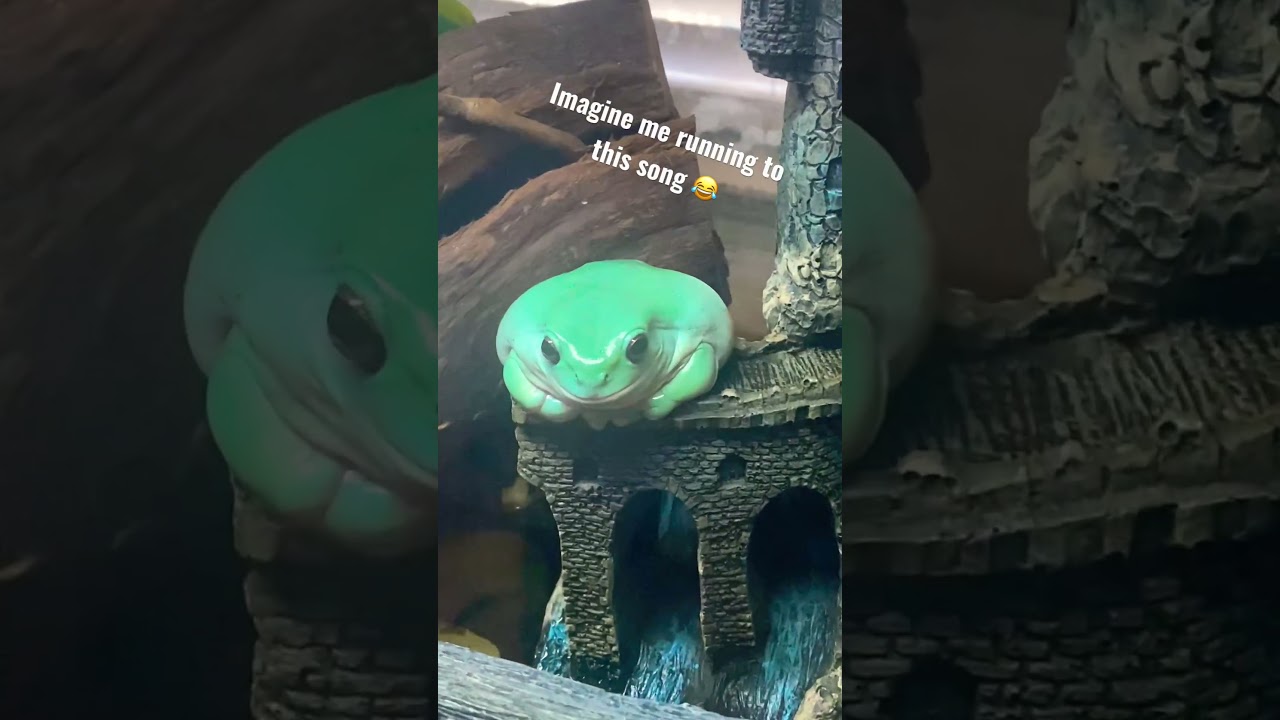 He’s not running anywhere 