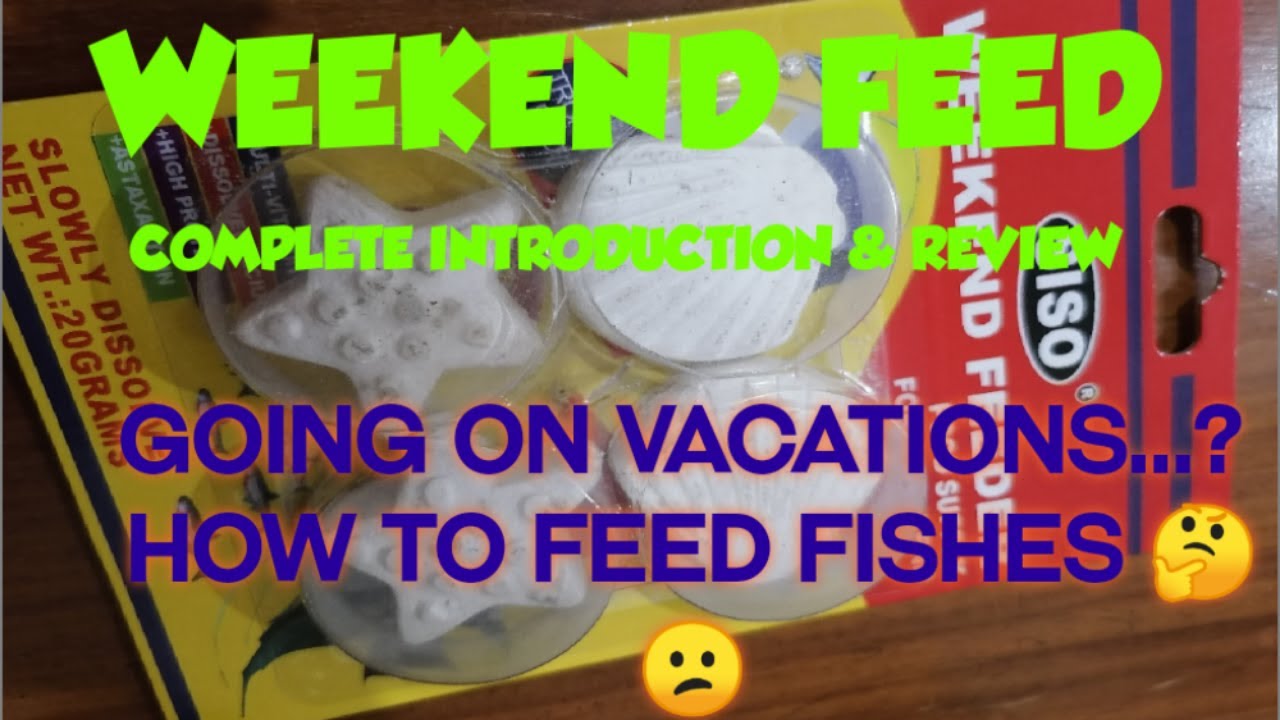 Weekend Feed Complete Introduction How To Feed Your Fishes On Weekend Feed Complete Introduction How To Feed Your Fishes On