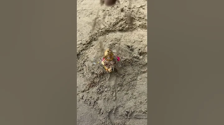 Raman Reti with Gopal 🧿❤️ #ramanreti #vrindavan #gokul #mathura #laddugopal #radheradhe