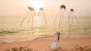 Shining bright with signature solo photoshoot concepts in Phu Quoc by PhuQuocTimes Media Shining bright with signature solo photoshoot concepts in Phu Quoc by PhuQuocTimes Media