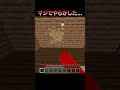【閲覧注意】マジでやらかした… #Shorts #Minecraft #マイクラ #マインクラフト