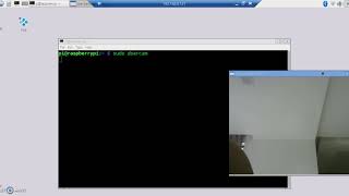 PI + Webcam + Zbarcam
