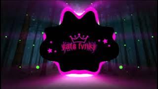 DJ THE SPECTRE X AISYAH BERSYUKURLAH ADIT FVNKY RMX🤙🎶🎧