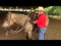 Tying mecate reins on