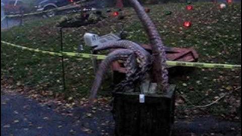 Halloween Tentacle Creature Crate