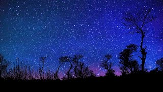 Free Night Sky Stars Falling Animation Background Video Download