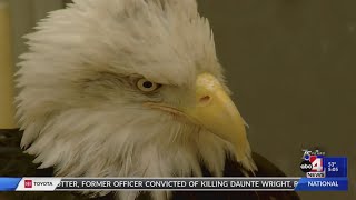 Ogden Mayoral Candidates Voice Support for Wildlife Center City is Kicking Out of the Nest