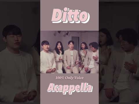 Ditto 뉴진스 X 아카펠라