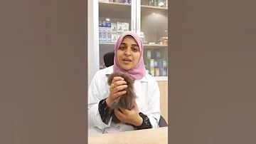 سبب امتناع القطه عن استخدام الليتر بوكس 