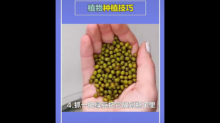 #蔬菜種植技巧#生活小妙招 - 天天要聞