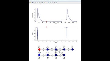 State Transitions in the Markov Model of Na+ Channel