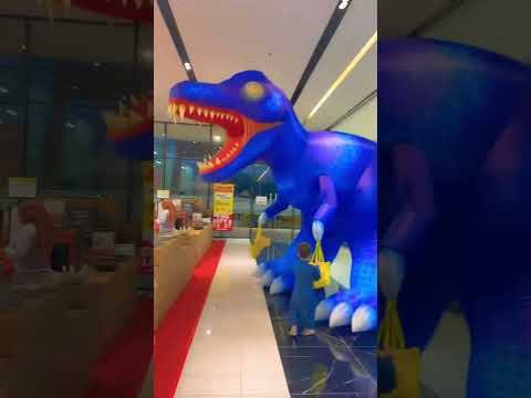 شو وجد واو وااااو