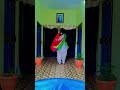 Desh rangeela rangeela dance || Independence Day 🇮🇳|| #trending #shorts #shortsvideo