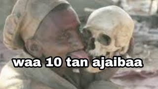 Waa 10 Tan Ajaibaa Laalii