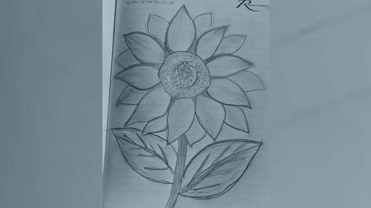 How to Draw a Flower YouTube