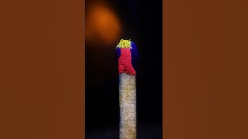 Matchstick under the macro lens #asmr #satisfying #shorts