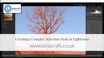 Creating a Complex Selection Mask in Lightroom