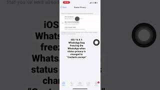 iOS 16.4.1 WhatsApp BUG 🤔🤨 #apple #whatsapp #ios