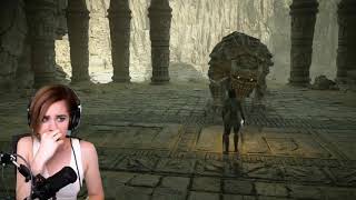 Memes of the Colossus | Shadow of the Colossus funny meme compilation