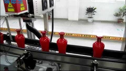 Leadjet Co2 Laser marking machine for wine bottle Liquor-making industrial