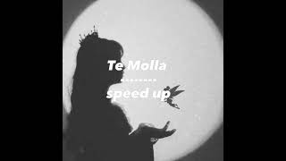 Te molla speed up Resimi