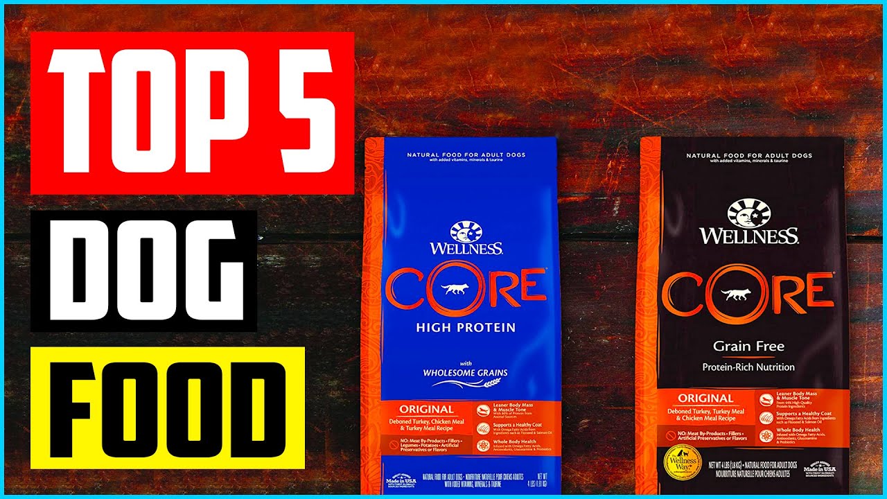 Top 5 Best Healthy Dog Food in The Market Today in 2022 Review YouTube