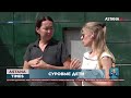 В Актау с 5 этажа дети сбросили котенка