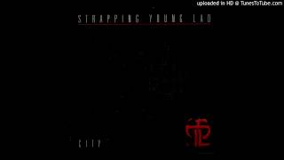 Strapping Young Lad - Spirituality