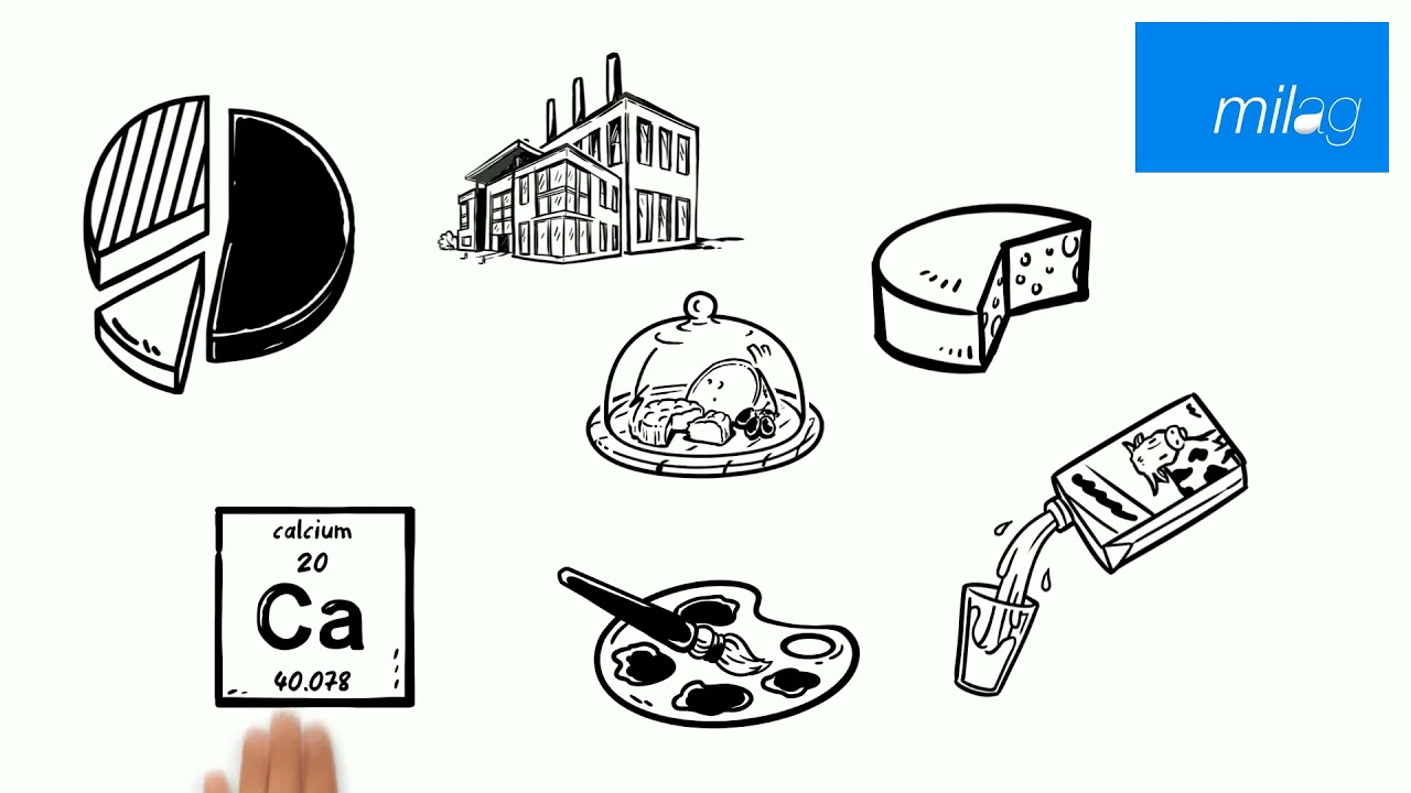 Wieso ist Milch weiß? Hier erfahrt ihr etwas über die Farbe der Milch, das kaum jemand weiß!