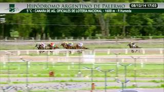 20141208 5 palermo