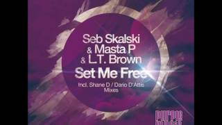 Seb Skalski & Masta P. feat  Lt.  Brown -  Set Me Free (Original Soul Mix)