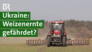 Eigenbedarf statt Export: Getreideernte durch den Krieg gefährdet? | Ukraine | Unser Land | BR