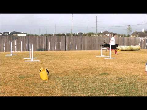 Deceleration: Position and Timing