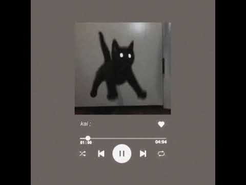 i hear a symphony x pluto projector ; cody fry & rex orange county
