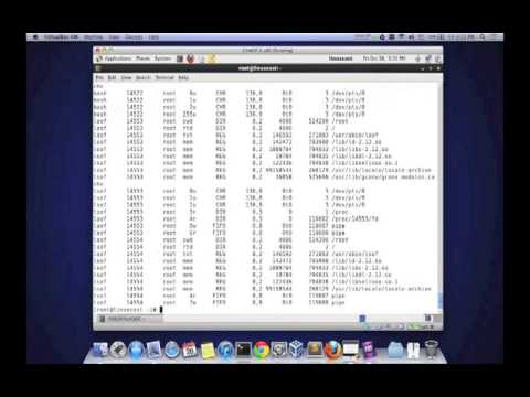 监控Linux系统当前监听使用的端口 [LinuxCast IT播客]