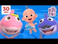 Baby shark best kids songs collection  30 min  hello tiny nursery rhymes for kids