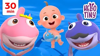 Baby Shark| Best Kids Songs Collection | 30 min | Hello Tiny Nursery Rhymes for Kids