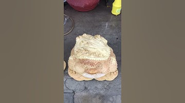 Cóc thiềm thừ nu Ngọc nghiến