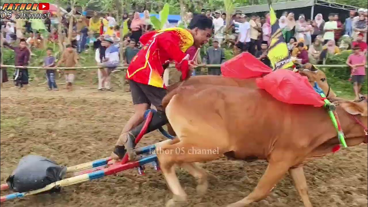 Kerapan sapi dhares lap. Gapura barat part 1