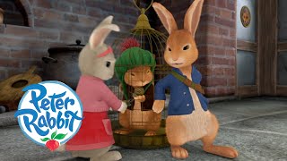 @OfficialPeterRabbit - The Great Rescue Mission! | Cartoons for Kid | Benjamin Bunny