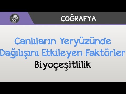 Video: Bir biyomu sınıflandırmak için hangi faktörler kullanılır?