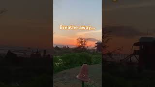 Musing Moments For TheSoul 💛#musingswithmala #mindfulliving #soulful #innerjourney #nature