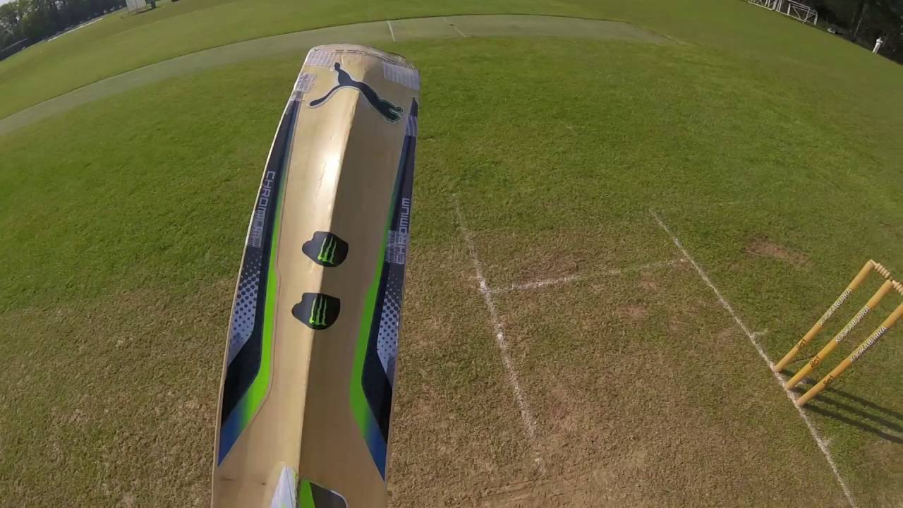 Walmley CC Sunday 1st XI Vs Kenilworth Wardens CC 08 May 2016