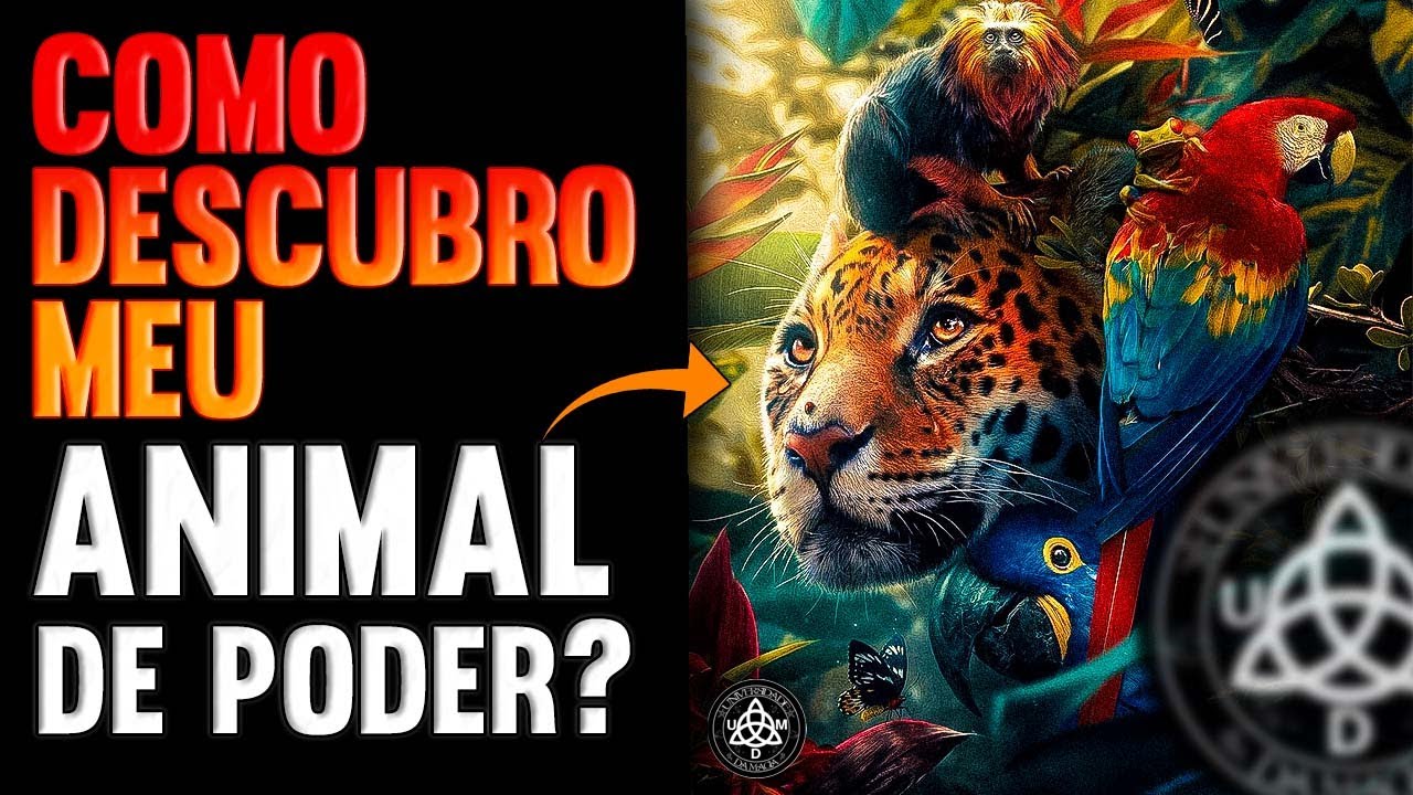 [PASSO A PASSO] Como descubro meu animal de poder? - YouTube