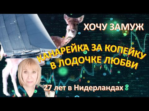 Как мы планируем наш бюджет семьи. Женская энергия. Рутина жизни в Голландии #закупки на неделю