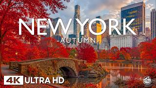 Information New York Autumn 4K 🇺🇸 – Central Park Fall Colors, Manhattan Skyline & Peaceful City Scenery News