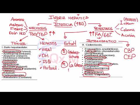 Bancos - 4  RM19 3V GASTROENTEROLOGIA DIA 2  PREGUNTAS 217 AL 239 de Qx Medic on Vimeo