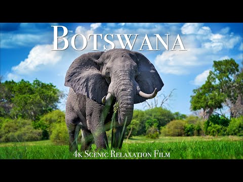 Video: Okavango Delta, Botswana: Kompletní průvodce